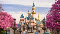 Disneyland Dream Package